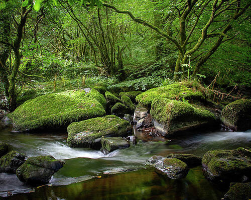 Reflection Wall Art featuring the photograph Glenville Famine Walk II by Mark Callanan