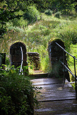 Reflection Wall Art featuring the photograph Glenville Famine Walk IV by Mark Callanan