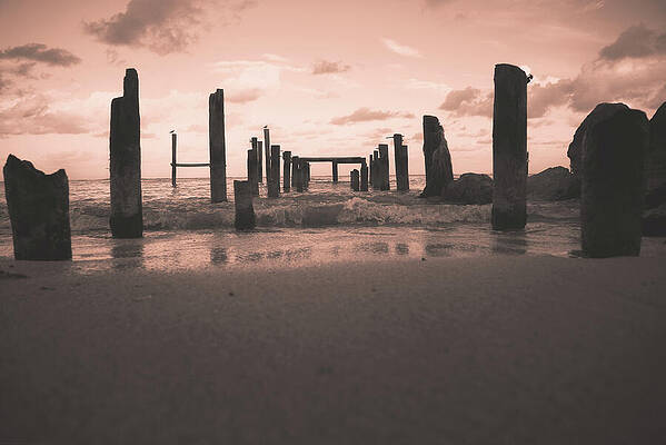 Wall Art featuring the photograph Glo by Gian Smith