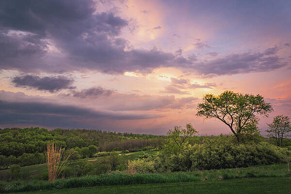 Landscape Photograph - Glowing Sunset Over Green Hills by Jason Fink