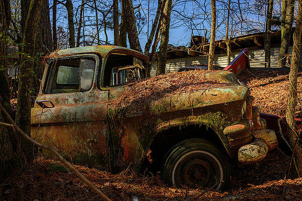 Abandoned Vintage Truck in Forest Wall Art