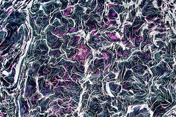 Colorful Wall Art featuring the digital art Gnarled Driftwood Abstract by Bruce Block