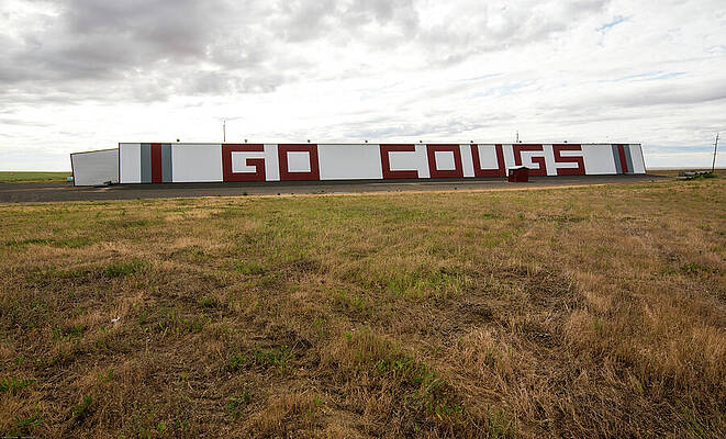 Washington Photograph - Go Cougs by Tom Cochran