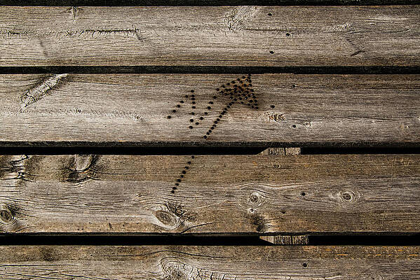 Michigan Photograph - Go North by Vi Ray