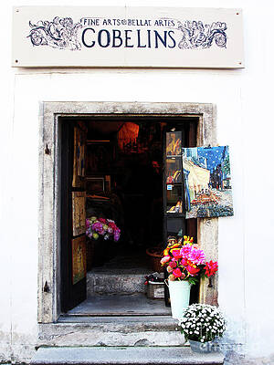 Wall Art featuring the photograph Gobelins Fine Arts by Rick Locke - Out of the Corner of My Eye