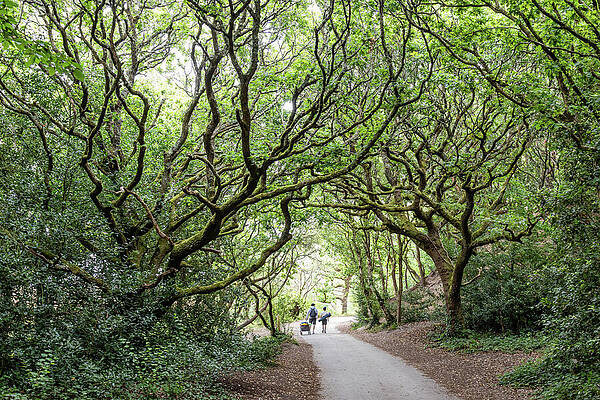 Wall Art featuring the photograph Going Fishing by Shirley Mitchell