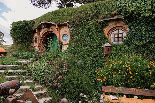 Greenery Photograph - Going On An Adventure by Nova Rae