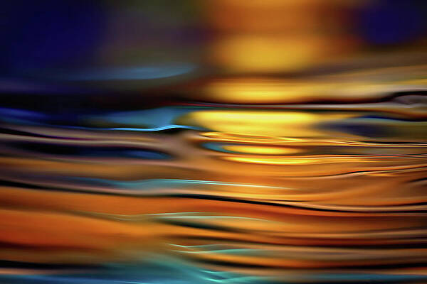 Color Wall Art featuring the photograph Gold Evening by Ursula Abresch