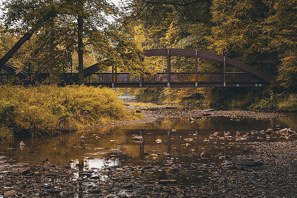 Fall Photograph - Golden Afternoon At The Ford by Jason Fink