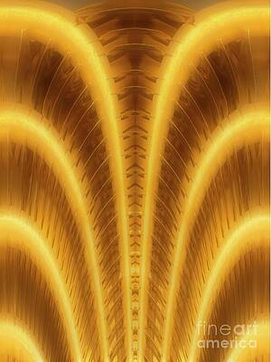 Golden Arch with Symmetrical Patterns Photograph