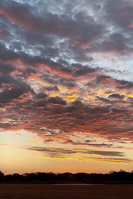 Serene Wall Art featuring the photograph Golden Dawn by Travel Essayist