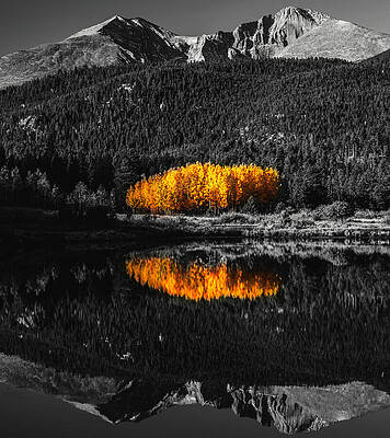 Wall Art featuring the photograph Golden Days Lily Lake by Dan Sproul