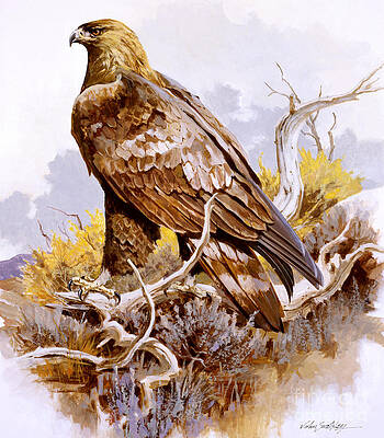 Nature Wall Art featuring the painting Golden Eagle by John Swatsley