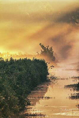 Obx Photograph - Golden Fog #8657 by Dan Beauvais