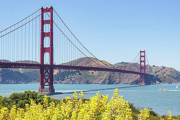 Water Photograph - Golden Gate Bridge by David Fountain