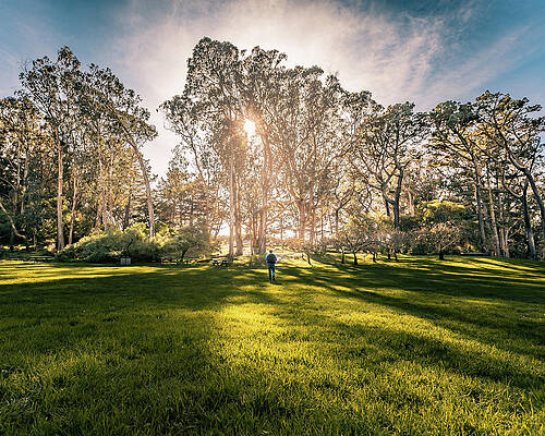 Golden Gate Park, San Francisco, California Print