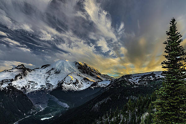 Washington Wall Art featuring the photograph Golden Highlights by Tim Lyden