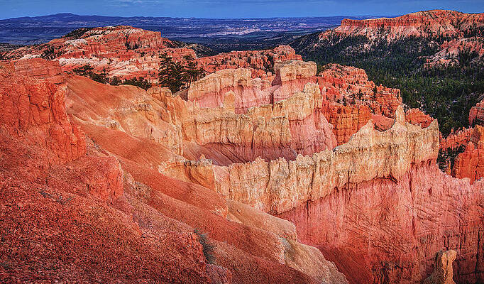 Scenic Photograph - Golden Hour At Bryce Canyon, Utah by Abbie Warnock