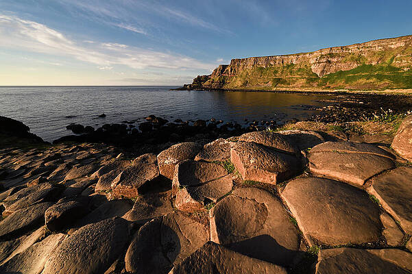 Photograph - Golden Hour At The Giant's Causeway by Steven Nelson