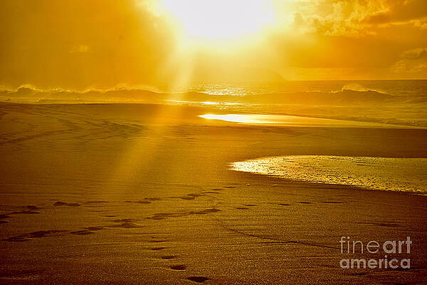 Wall Art featuring the photograph Golden Hour Sands Ke Iki Beach by Debra Banks