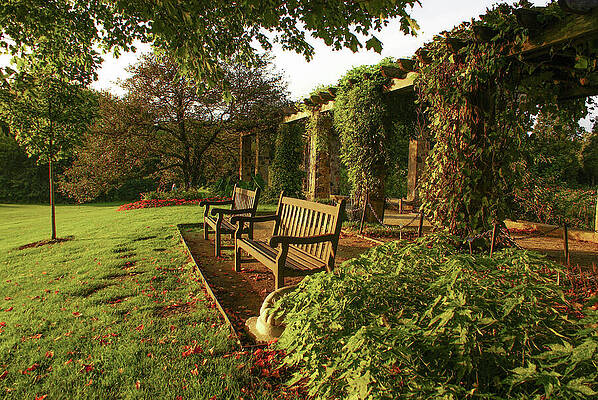 Wisconsin Photograph - Golden Hour by Deb Beausoleil