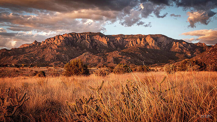 Golden Hour Glow in the High Desert by Howard Holley