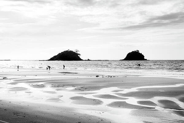 Wall Art featuring the photograph Golden Hour by Mia Badenhorst