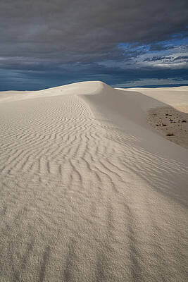 Wall Art featuring the photograph Golden Hour Sand by Sunniye Buesing