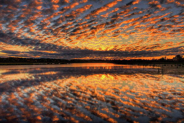 Wild Photograph - Golden Kaleidoscope Sunrise Over Lake Wausau by Dale Kauzlaric
