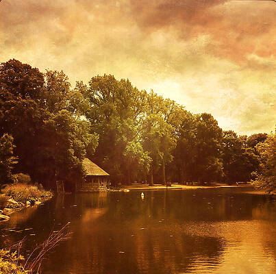 Tree Wall Art featuring the photograph Golden Lake by Onedayoneimage Photography