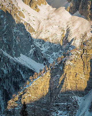 Winter Wall Art featuring the photograph Golden Larch Ledges by Charnwood Photography Fine Art