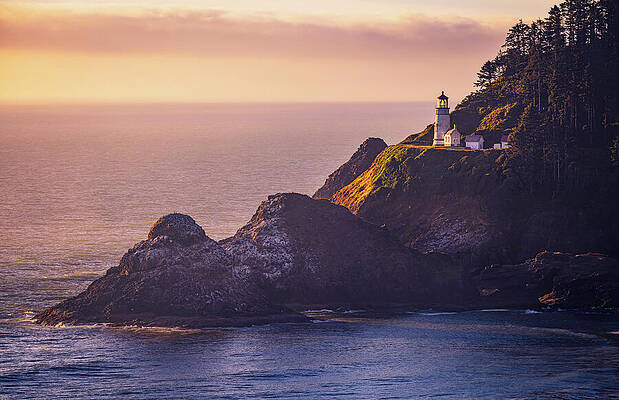 Yellow Wall Art featuring the photograph Golden Light On Heceta Head Lighthouse by Kevin Schwalbe