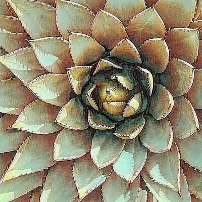 Wall Art featuring the photograph Golden Madonna Agave by Rebecca Herranen