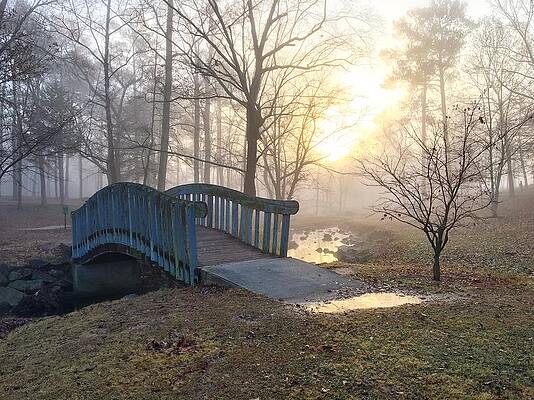 Southern Wall Art featuring the photograph Golden Morning Bridge by Greg Lane