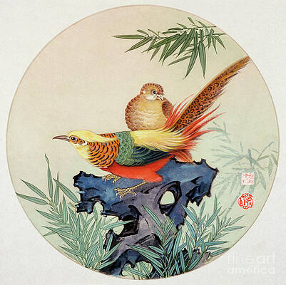 China Painting - Golden Pheasant by Sun Chuanzhe