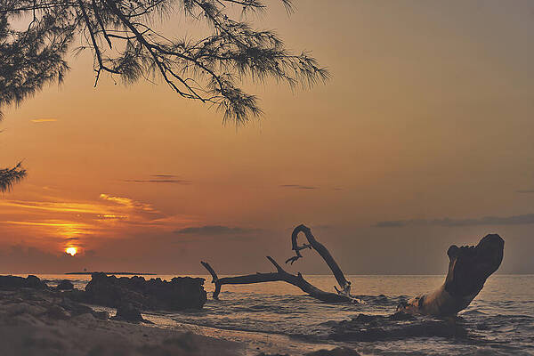 Wall Art featuring the photograph Golden Sandz by Gian Smith