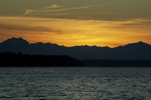 Golden Sky Over the Olympic Mountains by Carl Prothman