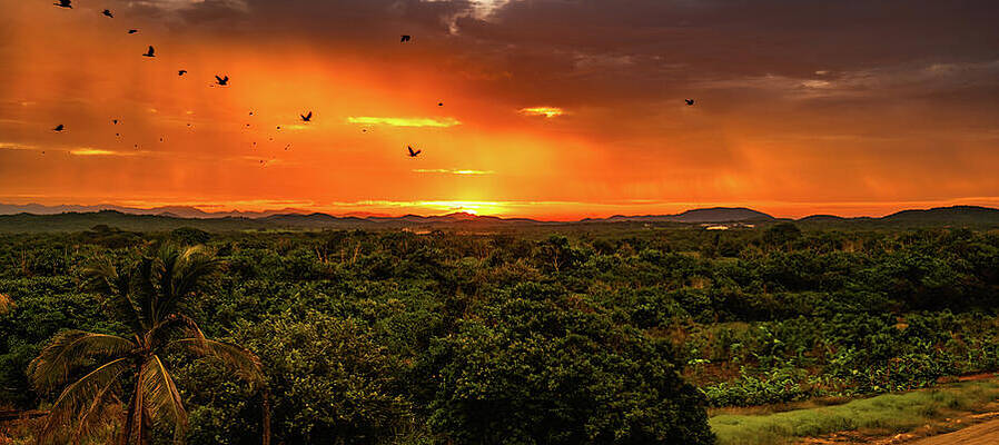 Sunrise Wall Art featuring the photograph Golden Sunrise From Mazatlan Mexico by Tommy Farnsworth