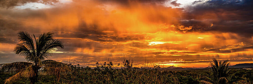 Sunrise Wall Art featuring the photograph Golden Sunrise From Mazatlan Sinaloa Mexico by Tommy Farnsworth