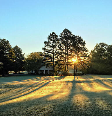 Sunrise Photograph - Golden Sunrise by Greg Lane