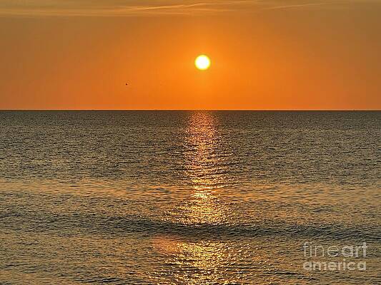 Golden Sunrise Over Tranquil Sea by Catherine Wilson