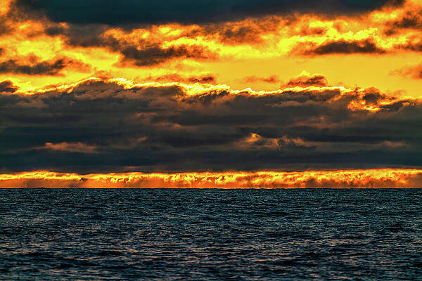 California Wall Art featuring the photograph Golden Sunset Carlsbad California by Tommy Farnsworth