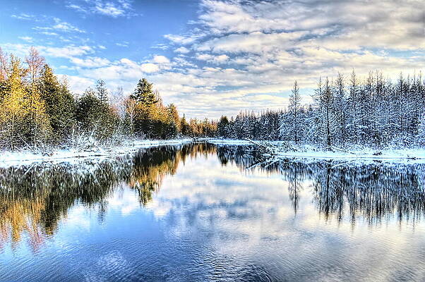 Wall Art featuring the photograph Golden Sunset Over A Spring Fed Pond by Dale Kauzlaric