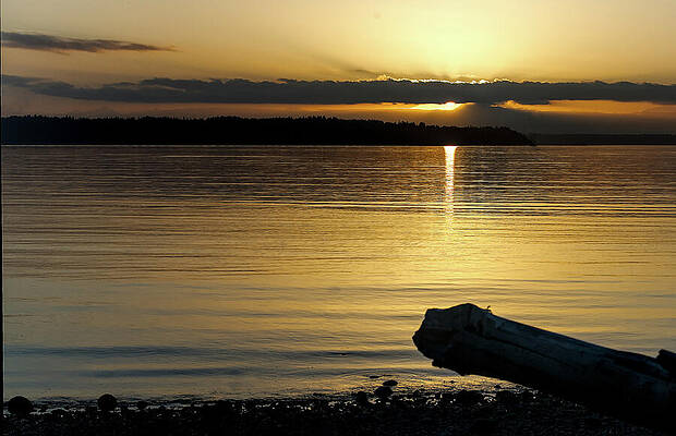 Golden Sunset Over Puget Sound by Carl Prothman