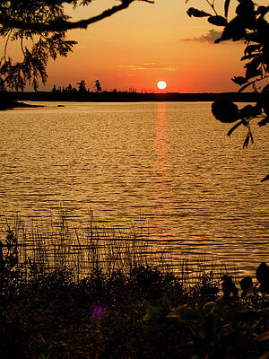 Golden Sunset Over Tranquil Lake Wall Art