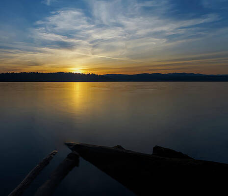 Golden Sunset Reflection Over Puget Sound by Carl Prothman