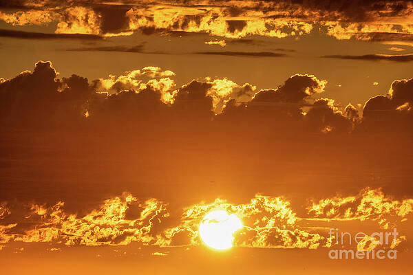 Wall Art featuring the photograph Golden Sunset Summer Flight by Abigail Diane Photography
