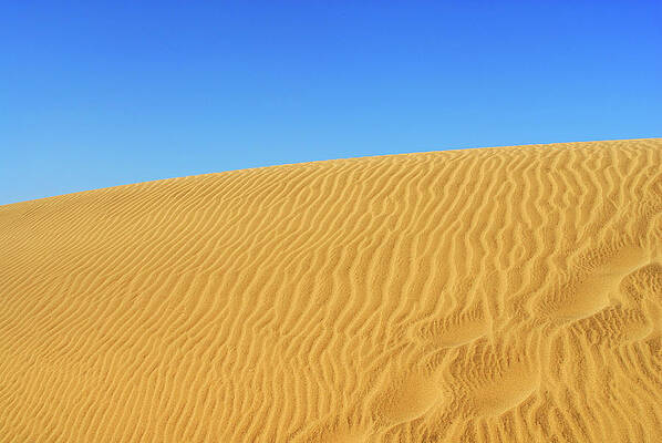 Landscape Wall Art featuring the photograph Golden Textured Sand And Sky by Severija Kirilovaite