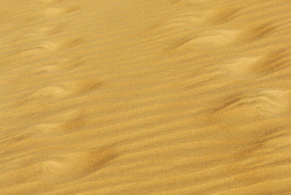 Landscape Wall Art featuring the photograph Golden Textured Sand by Severija Kirilovaite