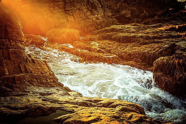 Maine Wall Art featuring the photograph Golden Tide by Jeff Sinon